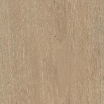 Weeping Willow 9.5''